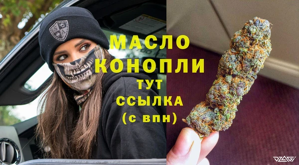 сатива Аркадак