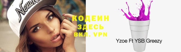 соль ск Арсеньев