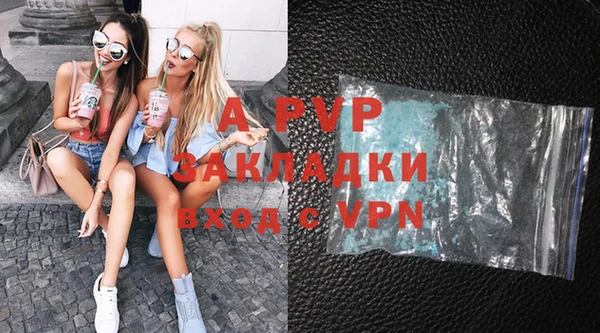 сатива Аркадак