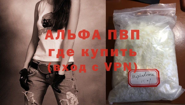 сатива Аркадак