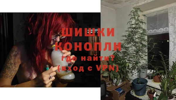 сатива Аркадак