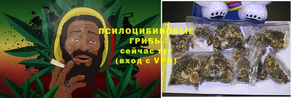 соль ск Арсеньев