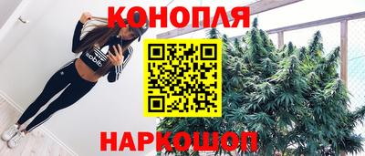стаф Нальчик
