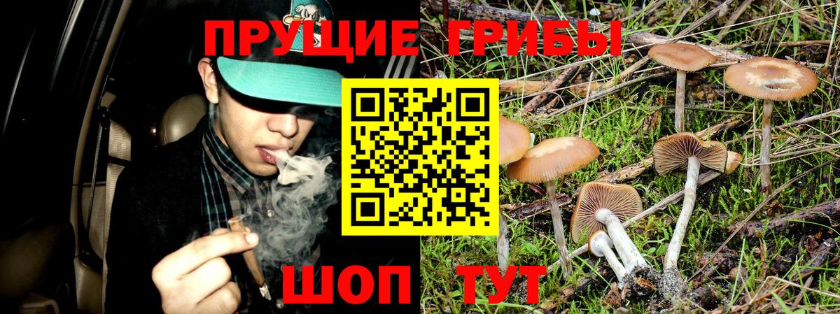 Галлюциногенные грибы Magic Shrooms Чайковский