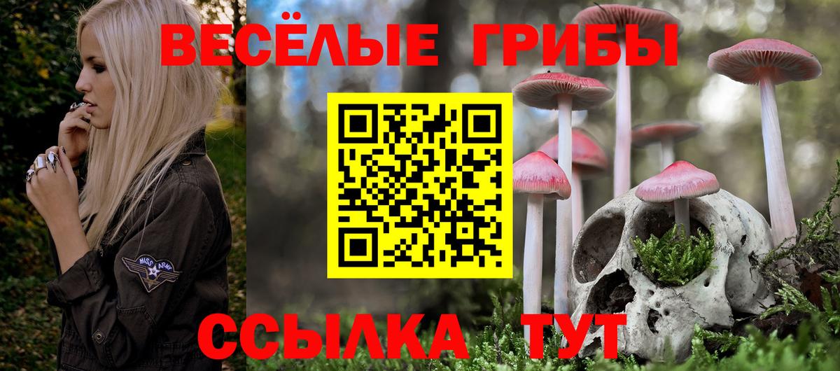 Чайковский  Псилоцибиновые грибы Psilocybe  Вход с VPN 